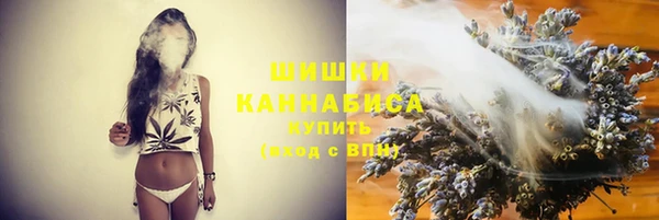 ПСИЛОЦИБИНОВЫЕ ГРИБЫ Балабаново