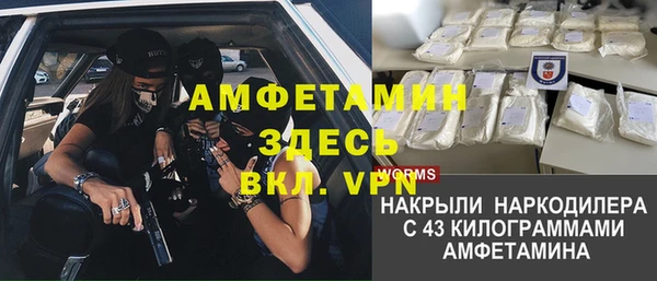 ПСИЛОЦИБИНОВЫЕ ГРИБЫ Балабаново