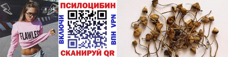 Галлюциногенные грибы GOLDEN TEACHER  Константиновск 